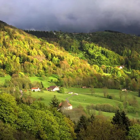 Saulxures-sur-moselotte, 3 Pièces, 4 Personnes - Fr-1-589-281