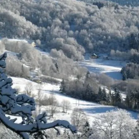 Saulxures-sur-moselotte, 3 Pièces, 4 Personnes - Fr-1-589-281 Casa vacanze