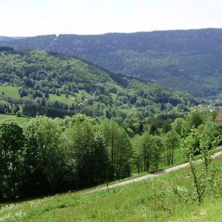 Casa vacanze Saulxures-sur-moselotte, 3 Pièces, 4 Personnes - Fr-1-589-281