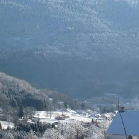 Saulxures-sur-moselotte, 3 Pièces, 4 Personnes - Fr-1-589-281 Casa vacanze Saulxures-sur-Moselotte