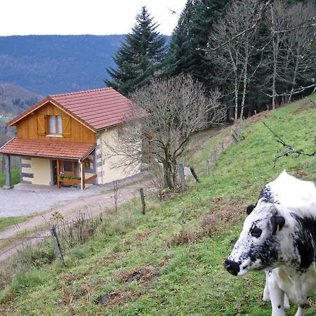 Maison Montagnarde Renovee Avec Cheminee Et Randonnees - Fr-1-589-281 * Saulxures-sur-Moselotte