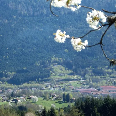 Maison Montagnarde Renovee Avec Cheminee Et Randonnees - Fr-1-589-281 Nyaraló *