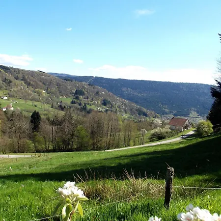 Casa vacanze Saulxures-sur-moselotte, 3 Pièces, 4 Personnes - Fr-1-589-281