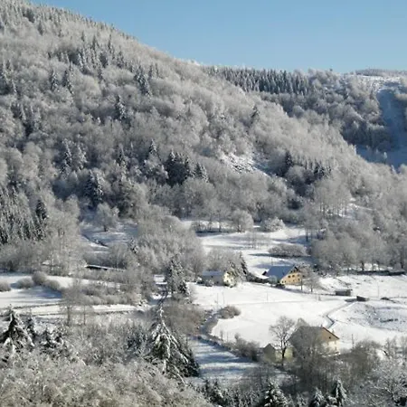 Maison Montagnarde Renovee Avec Cheminee Et Randonnees - Fr-1-589-281 Nyaraló