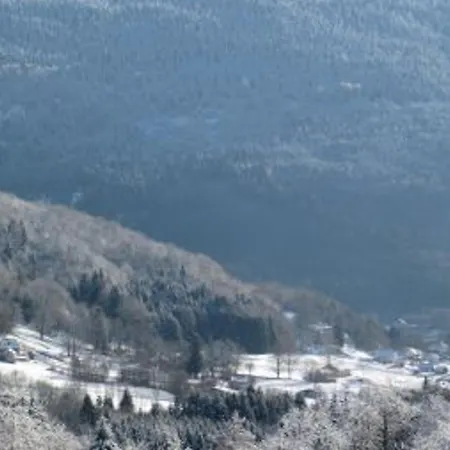 Saulxures-sur-moselotte, 3 Pièces, 4 Personnes - Fr-1-589-281 * Saulxures-sur-Moselotte