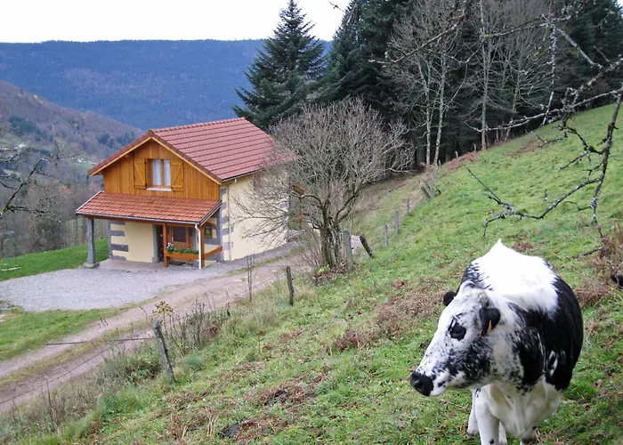 Maison Montagnarde Renovee Avec Cheminee Et Randonnees - Fr-1-589-281 * Saulxures-sur-Moselotte