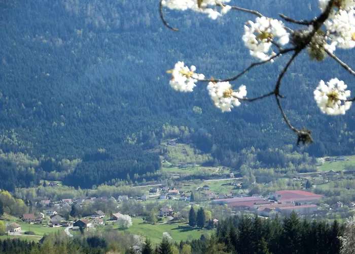 Maison Montagnarde Renovee Avec Cheminee Et Randonnees - Fr-1-589-281 Prázdninový dům *